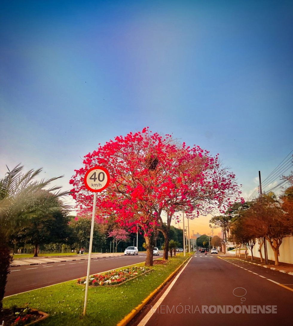 || Começo da manhã na cidade de Toledo (PR), em 21 de junho de 2024.
Imagem: Acervo e crédito de Jóder Phographia / Facebbok - FOTO 18 -
