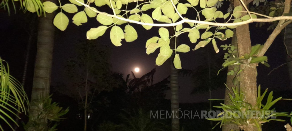 || Pôr da Lua na cidade de Marechal Cândido Rondon, na madrugada de 19 de julho de 2024.
Imagem: Acervo Projeto Memória Rondonense - FOTO 17 -