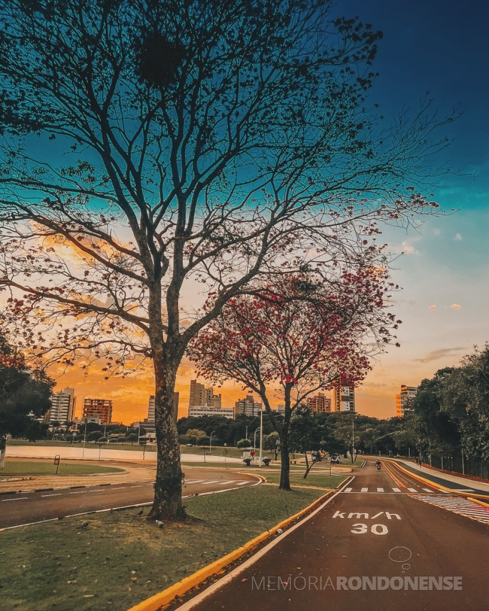 || Começo da manhã na cidade de Toledo (PR), em fotografia clicado
na região do Parque Ecológico Diva Paim Barth, em 19 de junho de 2024.
Imagem: Acervo e crédito de Jóder Photographia / Facebook - FOTO 30 -