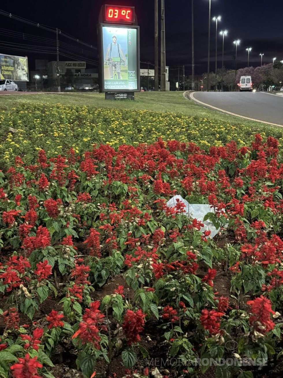 || Temperatura ao amanhecer do dia na cidade de Cascavel (PR), em 13 de agsoto de 2024.
Imagem: Acervo e crédito de Aílton Sanos / Tarobá Cascavel / Facebook - FOTO 30 -
