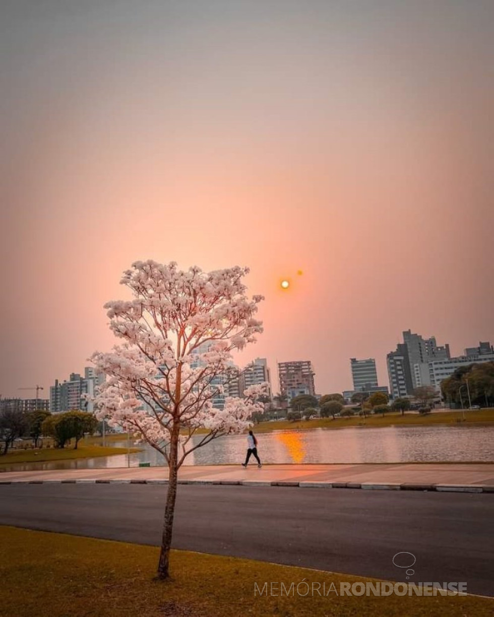 || Começo da manhã na cidade de Toledo PR), em 23 de setembro de 2024.
Imagem: Acervo e crédito Jodher Photographia - FOTO 23 -