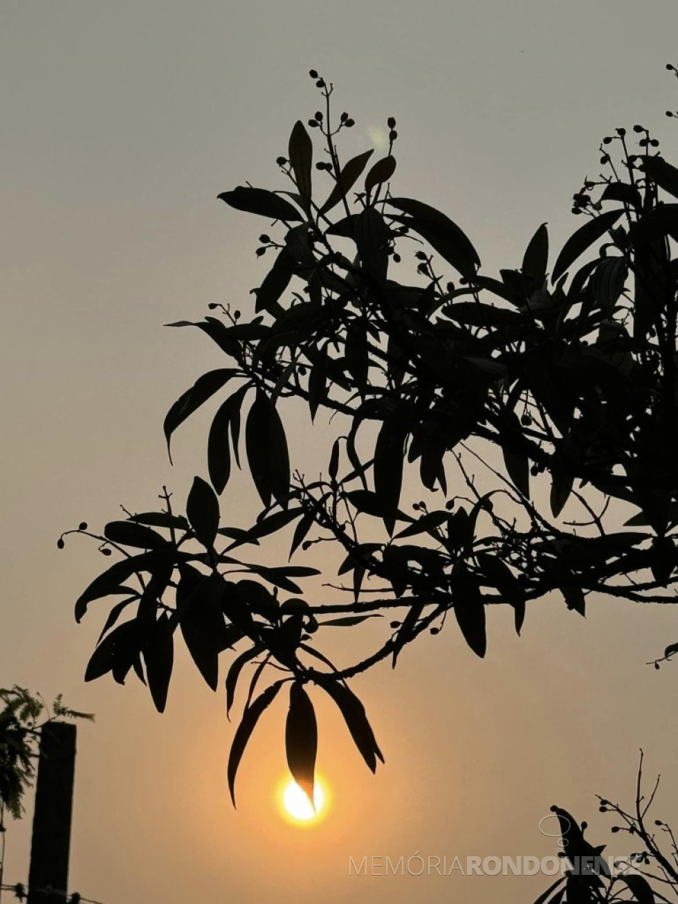 || Final de tarde na cidade de Cascavel (P`R), em 09 de setembro de 2024.
Imagem: Acervo e crédito de Aílton Santos / Tarobá Cascavel / Facebool - FOTO 18 -