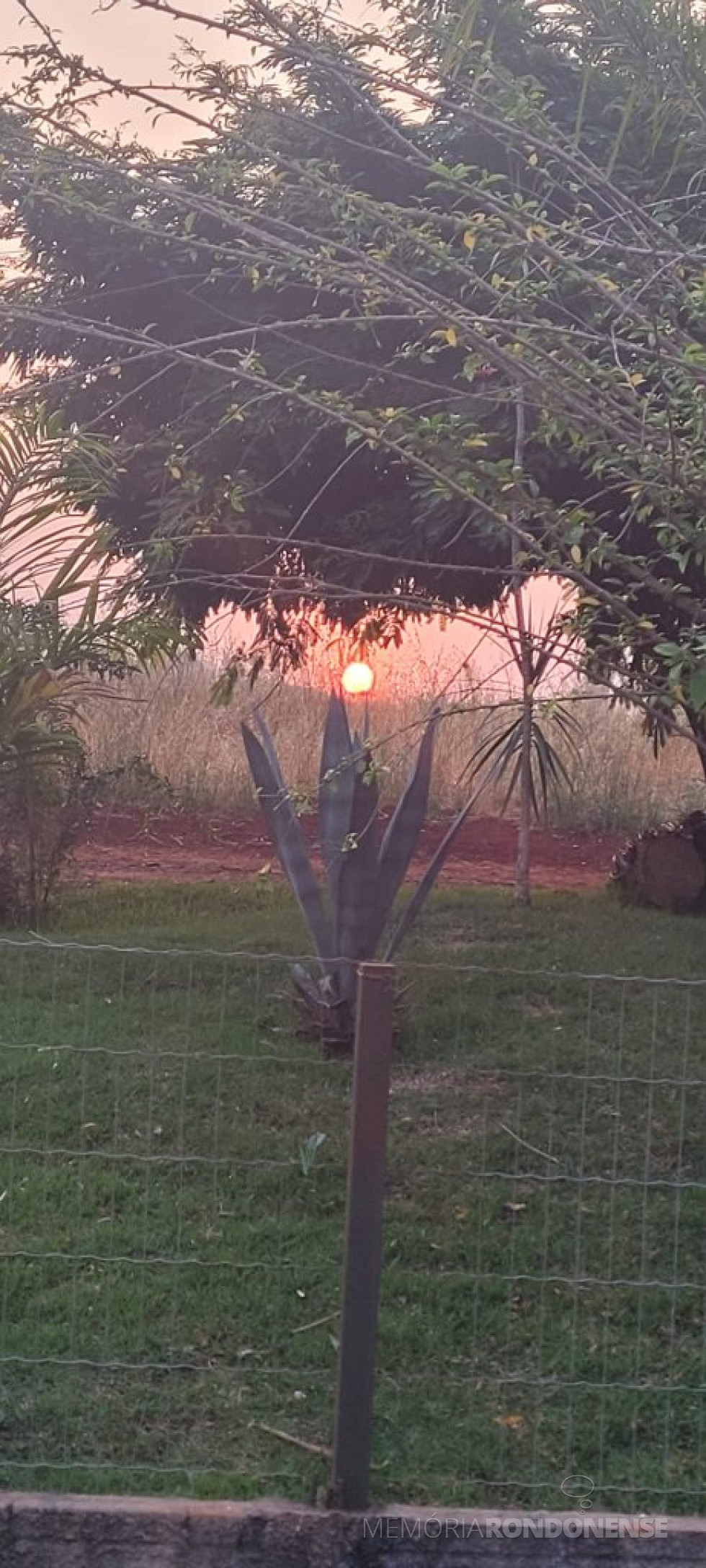 || Pôr do sol em Marechal Cândido Rondon, clicado na Linha Cunhaporã, no distrto de Porto Mendes, pela pioneira rondonense Ilda Bet - FOTO 34 -