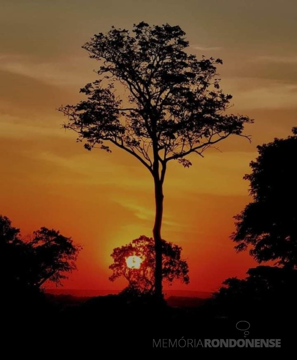 || Pôr do Sol em Marechal Cândido Rondon, em 17 de novembro de 2024.
Imagem: Acervo e crédito deda professora rondonense Isa Vasques - FOTO 37 -