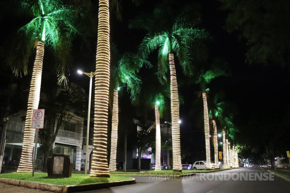 || Decoração natalina luminosa na Avenida Maripá, na cidade de Marechal Cândido Rondon, em dezembro de 2024.
Imagem: Acervo Imprensa - PM-MCR - FOTO 38 -