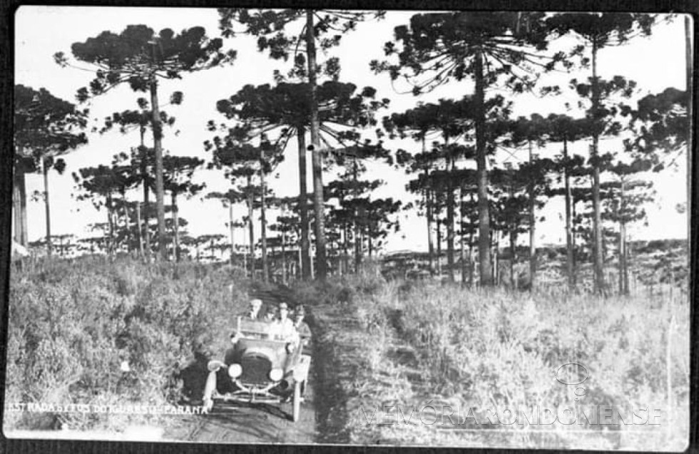 || Estrada Guarapuava a Foz do Iguaçu, em 1913.
Imagem: Acervo