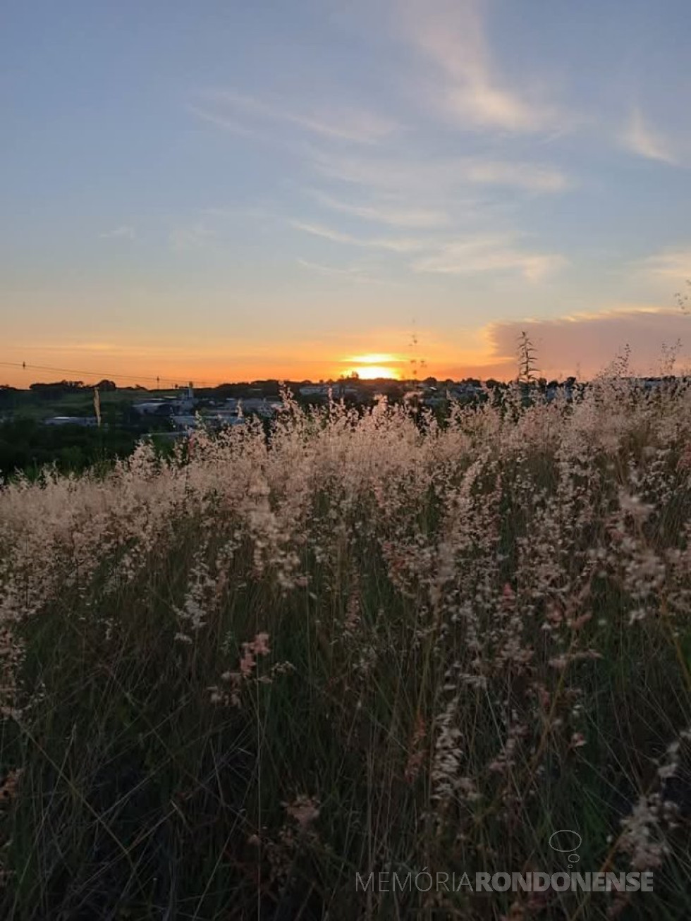 || Entardecer na cidade de Marechal Cândido Rondon, em 03 de janeiro de 2025.
Imagem: Acervo e crédito da professora rondonense Sandra Regina Lui / Facebook - FOTO 26 -