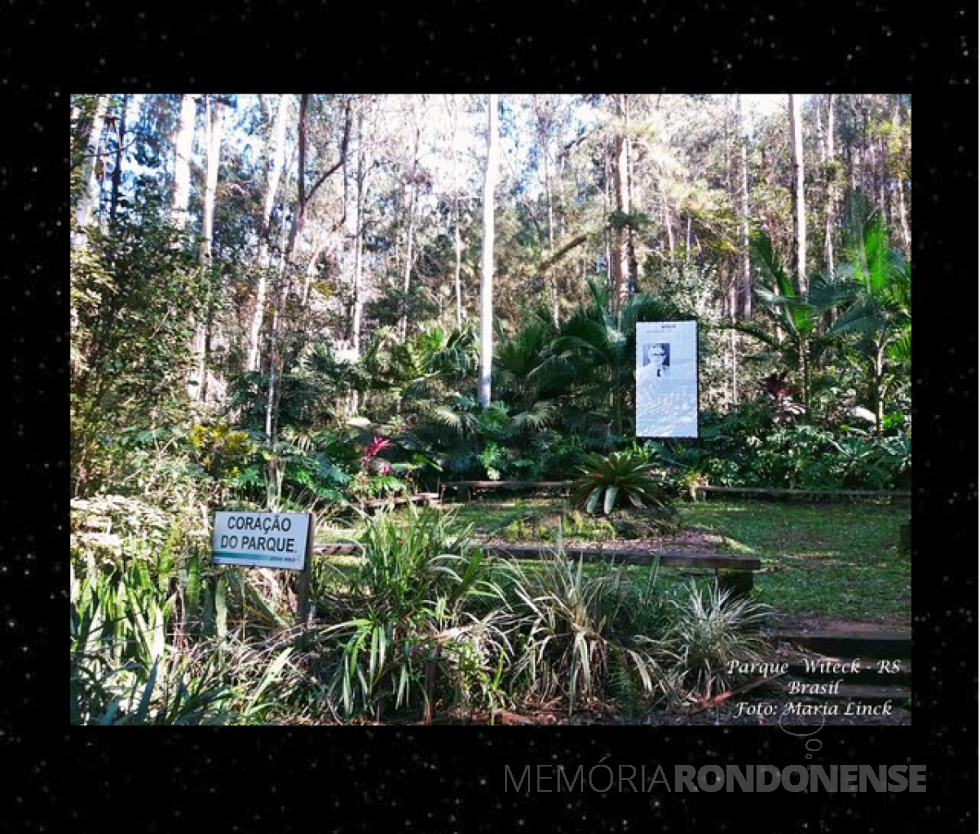 || Área central e senimental do