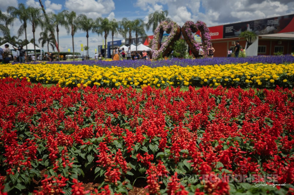 || Mais uma vista do jardim do Show Rural 2025.
Imagem: Acervo e crédito do fotógrafo e professor cascavelense Julio Szymanski - FOTO 29 -