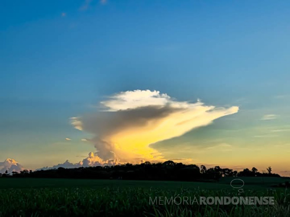|| Final de tarde, na região de Marechal Cândido Rondon, om vista para o Sul, em 28 de fevereiro de 2025.
Imagem: Acervo do jornal O Presente - crédito de Roberto Kleinschmidt - FOTO 29 -