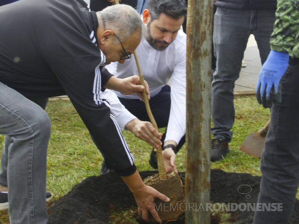 || José Costenaro, prefeito de Toledo (e) e padre André Boffo Mendes plantando um ipê-branco, em maio de 2025.
Imagem: Acervo Governo do Toledo - FOTO 31 -