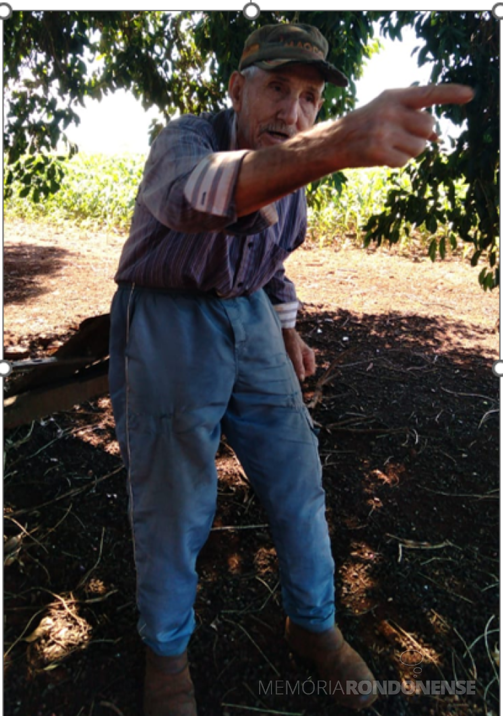|| Pioneiro rondonense Inocente Florindo Magagnin, nascido em maio de 1937.
Imagem: Acervo da professora e pesquisadora Reni Wachholz Ringenberg - FOTO 2 -