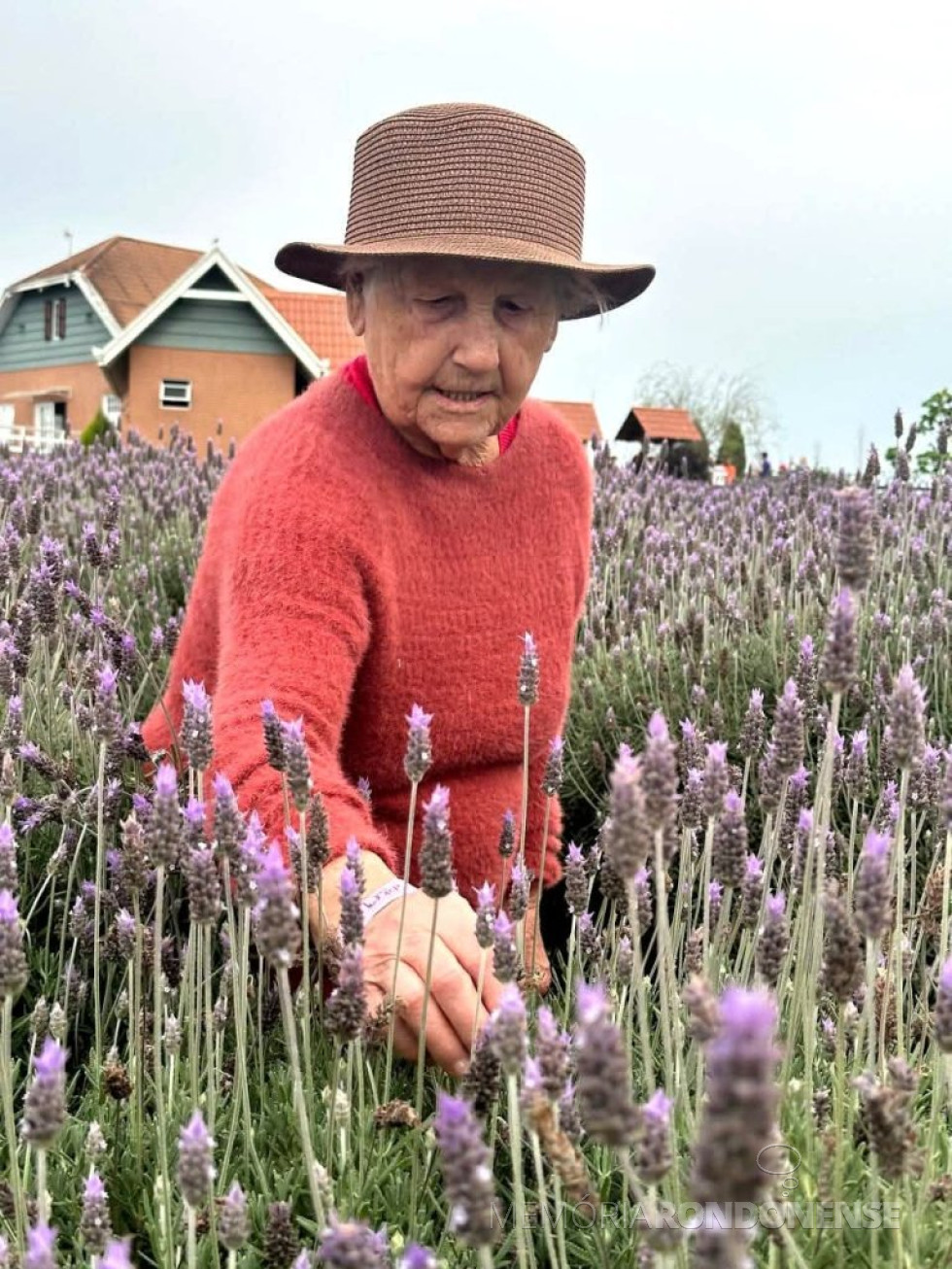 || Pioneira rondonense Olinda Camila Witeck que completou 96 anos de idade, em junho de 1996.
Imagem: Acervo de Erci Witeck - FOTO 28 -