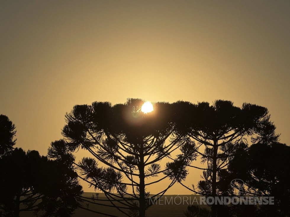 || Põr do Sol na região de Cascavel (PR), em 21 de Julho de 2025.
Imagem: Acervo e crédito de Ailton Santos / Tarobá Cascavel / Facebook - FOTO 36 -