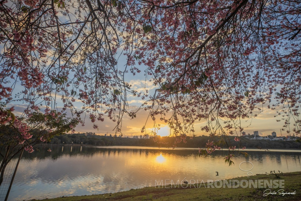 || Pôr do sol na cidade de Cascavel (PR), clicado desde o Lago Municipal, com detaque para a florada das cerejeiras japonesas (sakura), em 19 de julho de 2025.
Imagem: Acervo e crédito do professor e fotógrafo Julio Szymanski - FOTO 21 -