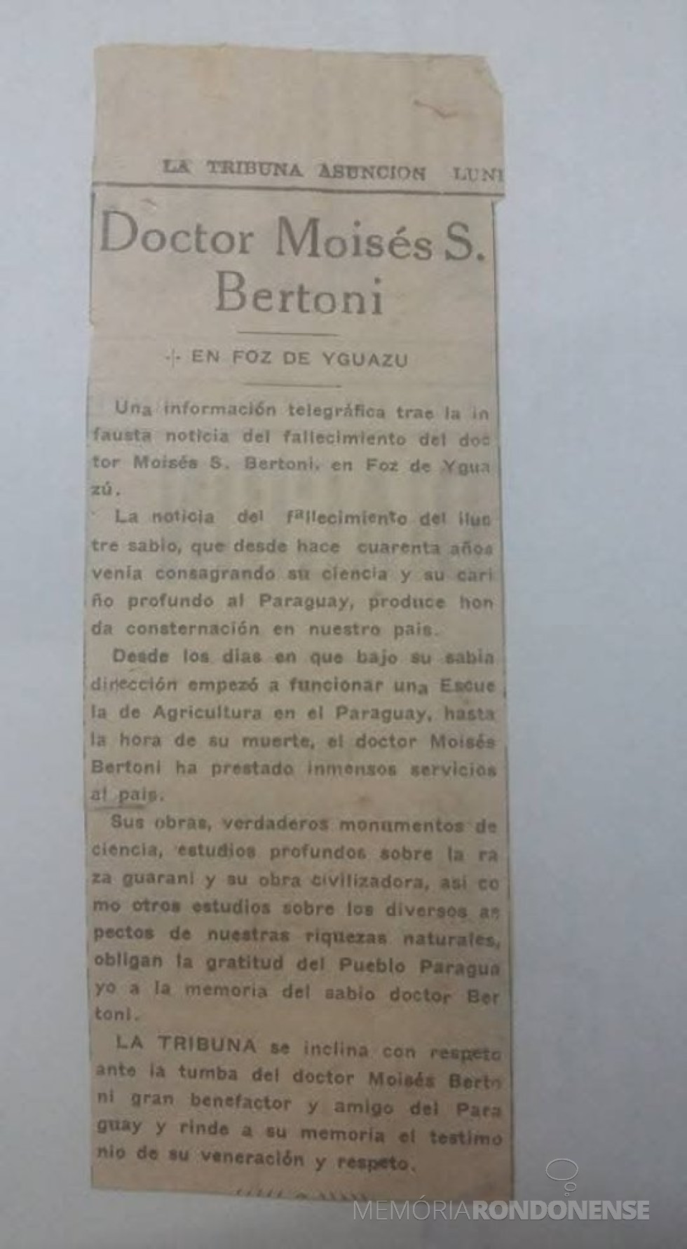 || Recorte de jornal não identificado com notícia da morte do cientista Moisés Bertoni.
Imagem: Acervo de Andrés Morel - FOTO 12 -