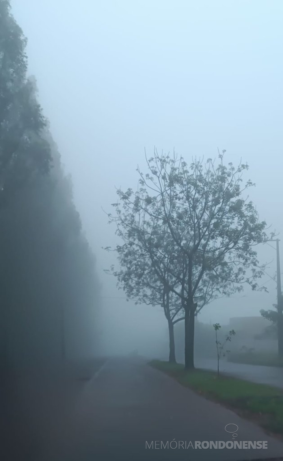 || Registro de neblina na cidade de Marechal Cândido Rondon, ao amanhecer de 05 de setembro de 2025.
Registro fotográfico feito pela professora rondonense Sandra Regina Lui, na estrada que demanda para a sede distrital de Novo Horizonte - FOTO 18 -