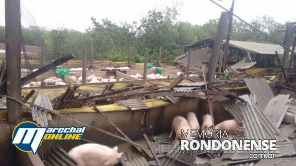 || Chiqueiro danificado por temporal no distrito de Iguipora, em 16 de novembro de 2017.
Imagem: Acervo Marechal ONLine - FOTO 8 -