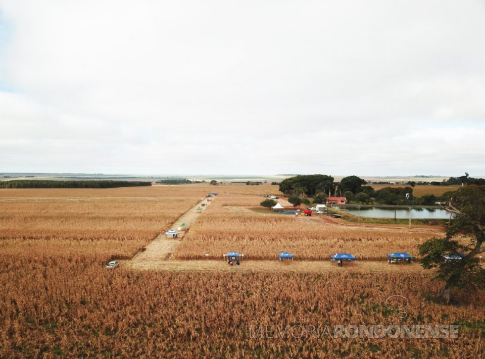 || Dia de Campo de Milho Safrinha Copagril 2018 na fazenda da família Petrykoski, em Itaquiraí (MS)>
Imagem: Acervo Comunicação Copagril -  FOTO 22 -