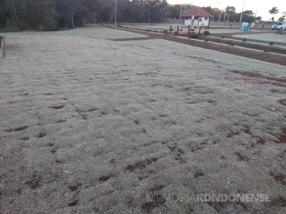 || Outro flagrante da geada em Marechal Cândido Rondon, no Lago Municipal, em julho (dia 6) de 2019. 
Imagem: Acervo PM-MCR - FOTO 13 -