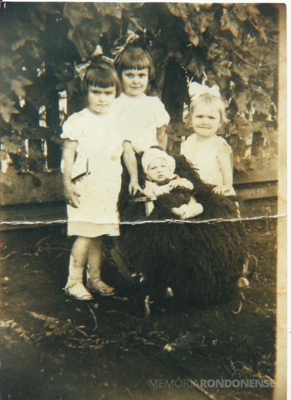 || As filhas dos casal pioneiro Hilda e Leo poldo José Witeck, Marlene, Sirlei e Izoldi, na cadeira o filho Laudi José, primeira criança nascida na Linha São Cristóvão, em Marechal Cândido Rondon.
Imagem: Acervo pessoal - FOTO 2 -