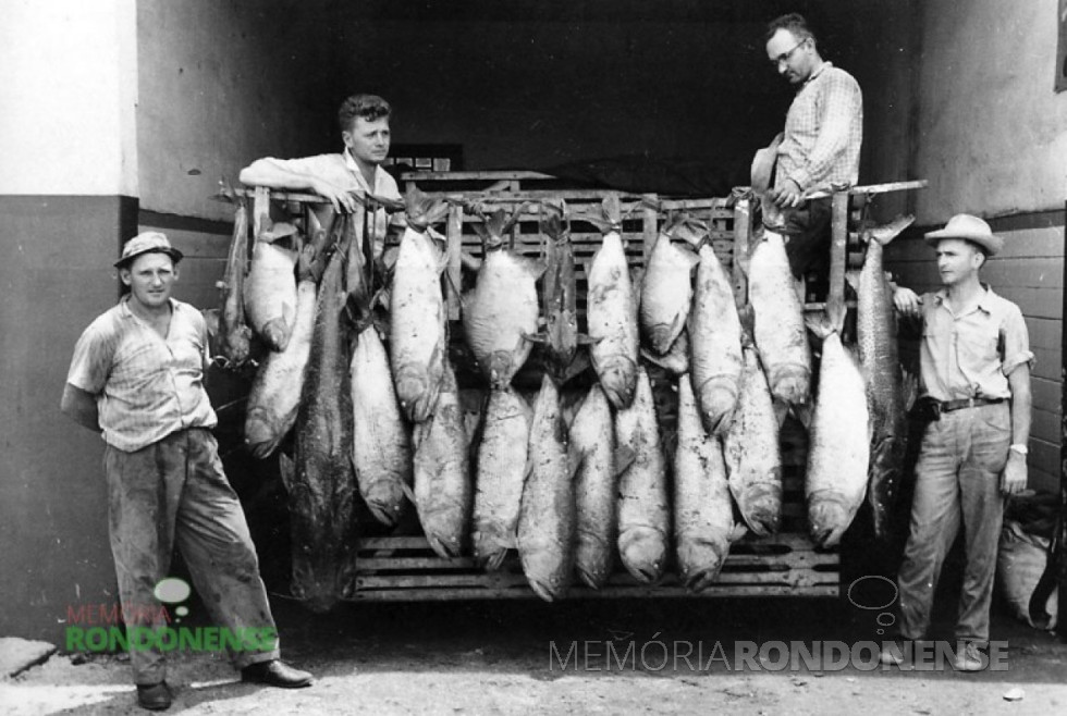 || Pioneiro Edwino von Borstel, à esquerda, depois de um dia de pesca no Rio Paraná, no final da década de 1950, ele falecido em julho de 2006.
Ainda na foto, da esquerda a direita: Ercy Sturm, Norberto Rieger e Alberto Hass, funcionário da Casa Rieger.
Imagem: Acervo Memória Rondonense - FOTO 5 -