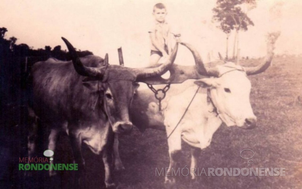 || Menino Laudi Witeck, segunda criança a nascer na localidade rondonense Linha São Cristóvão. Na época de seu nascimento, em novembro de 1952, o local era conhecido como Lageado Marrecos, onde seus pais se estabeleceram no começo de 1950. Claudi Witeck reside hoje em Tucamã (PA).
Imagem: Acervo Cleci Kleemann e Clarice Dahmer - FOTO  10 -