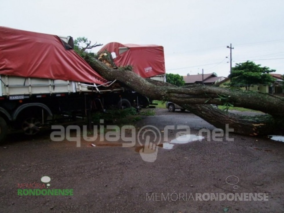 || Árvore que caiu em cima de um caminhão durante temporal de 09 de dezembro de 2015. Imagem: Acervo AquiAgora.net - FOTO 16 -