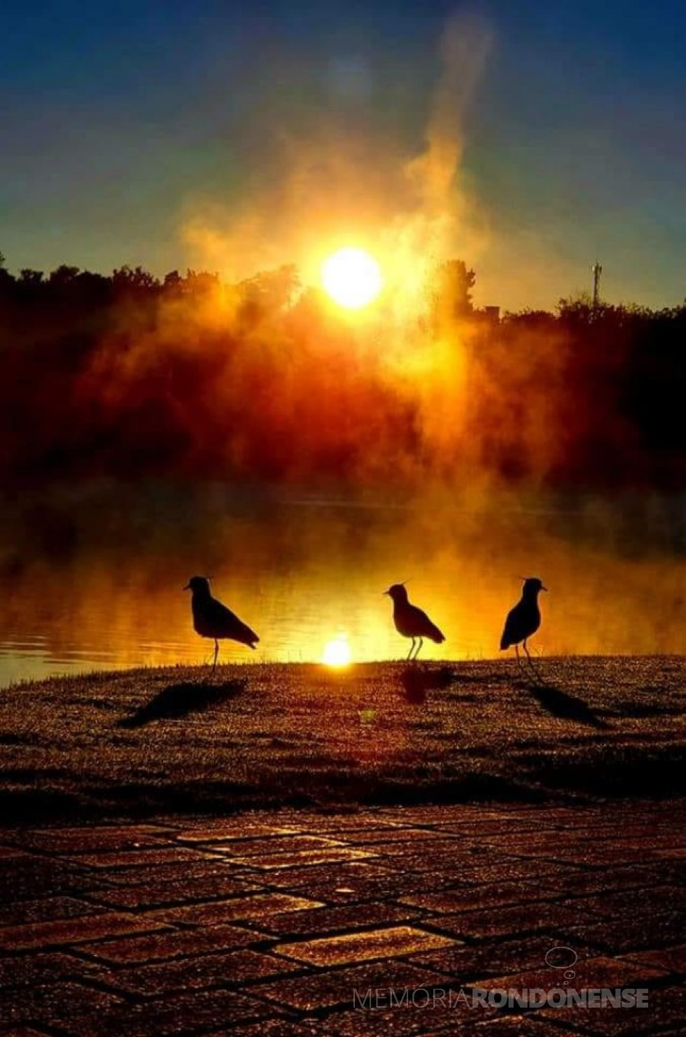 || Nascer do sol visto a partir do Parque de Lazer Rodolfo Rieger e seu reflexo na geada do local, em Marechal Cândido Rondon. 
Imagem e crédito: Roberto Kleinschmidt - FOTO 13 - 
