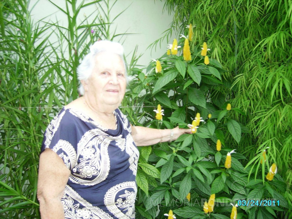 || Pioneira Helga (nascida Liell) Haubert, falecida em dezembro de 2017.
Imagem: Acervo Darcila Haubert - FOTO 11 -