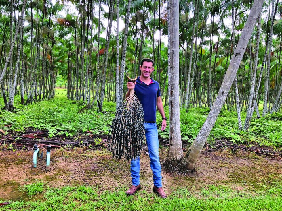 || Rondonense Giuliano Quintino dos Santos em sua propriedade de produção de açai, em Humaitá, Amazonas, em abril de 2018.
Imagem: Acervo O Presente - FOTO 8 - 
