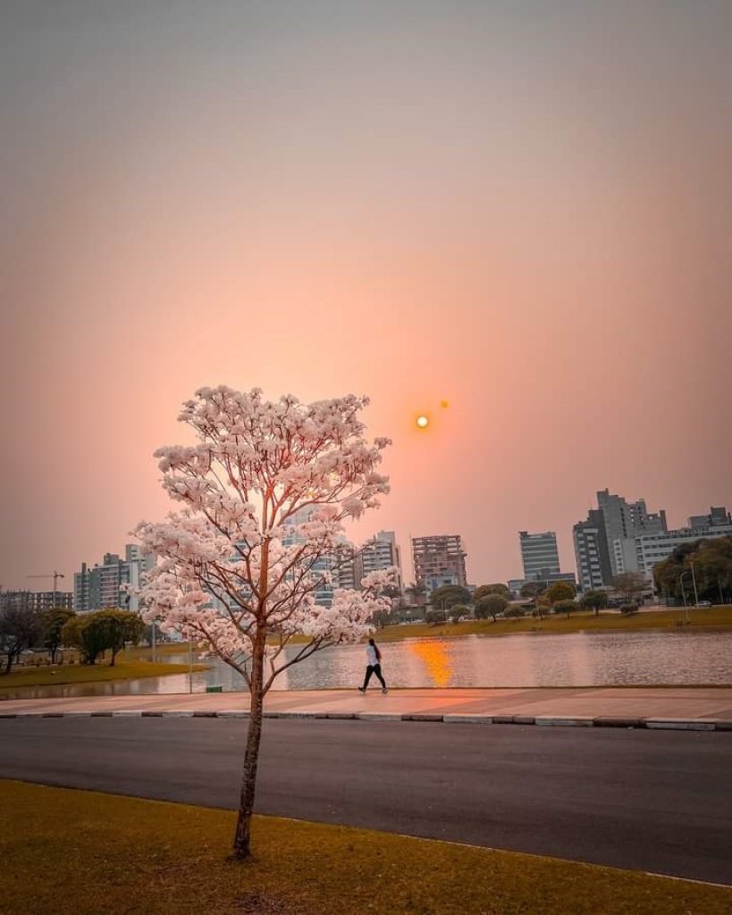 || Começo da manhã na cidade de Toledo PR), em 23 de setembro de 2024.
Imagem: Acervo e crédito Jodher Photographia - FOTO 23 -