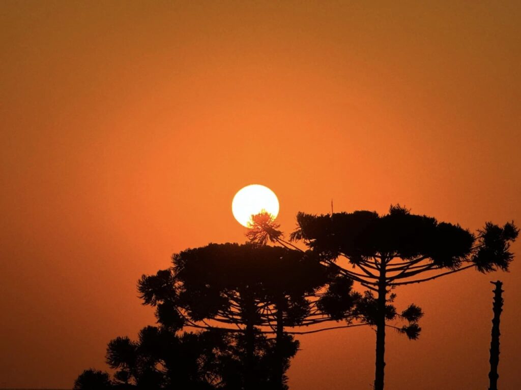 || Pôr do sol na região da cidade de Cascavel (PR), em 25 de julho de 2024.
Imagem: Acervo e crédito de Aílton Santos - FOTO 61 -
