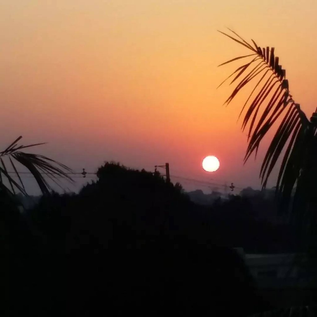 || Arrebol do sol em Marechal Cândido Rondon, no dia 18 de agosto de 2021.
Imagem e crédito: Jair Meller - FOTO 26 -