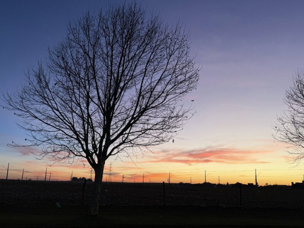 || Amanhecer na cidade de Cascavel (PR), em 13 de agosto de 2025.
Imagem: Acervo e crédito de Ailton Santos / Tarobá Cascavel / Facebook - FOTO 33 --