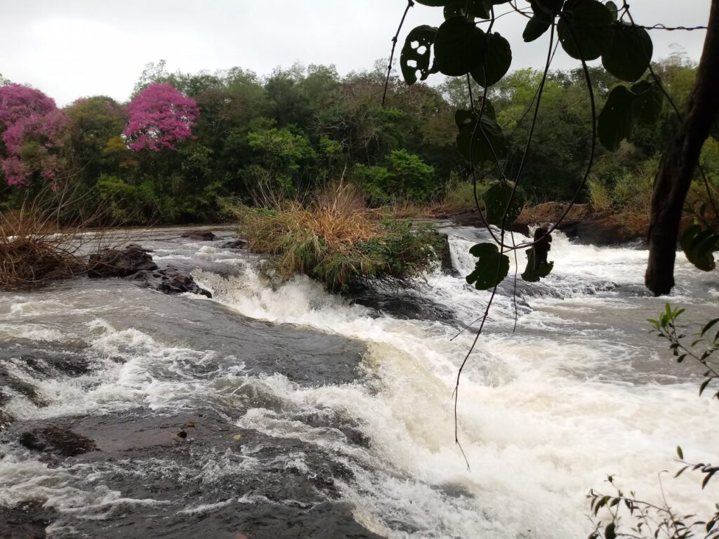 || Queda d'água do Rio São Francisco Verdadeiro, na Linha Eldorado, no distrito rondonense de São Roque, imagem divulgada em agosto de 2021, como as de nº s 16, 17 e 18.
Imagem: Acervo Imprensa - PM-MCR - Crédito Airton Kraemer - FOTO 18 -