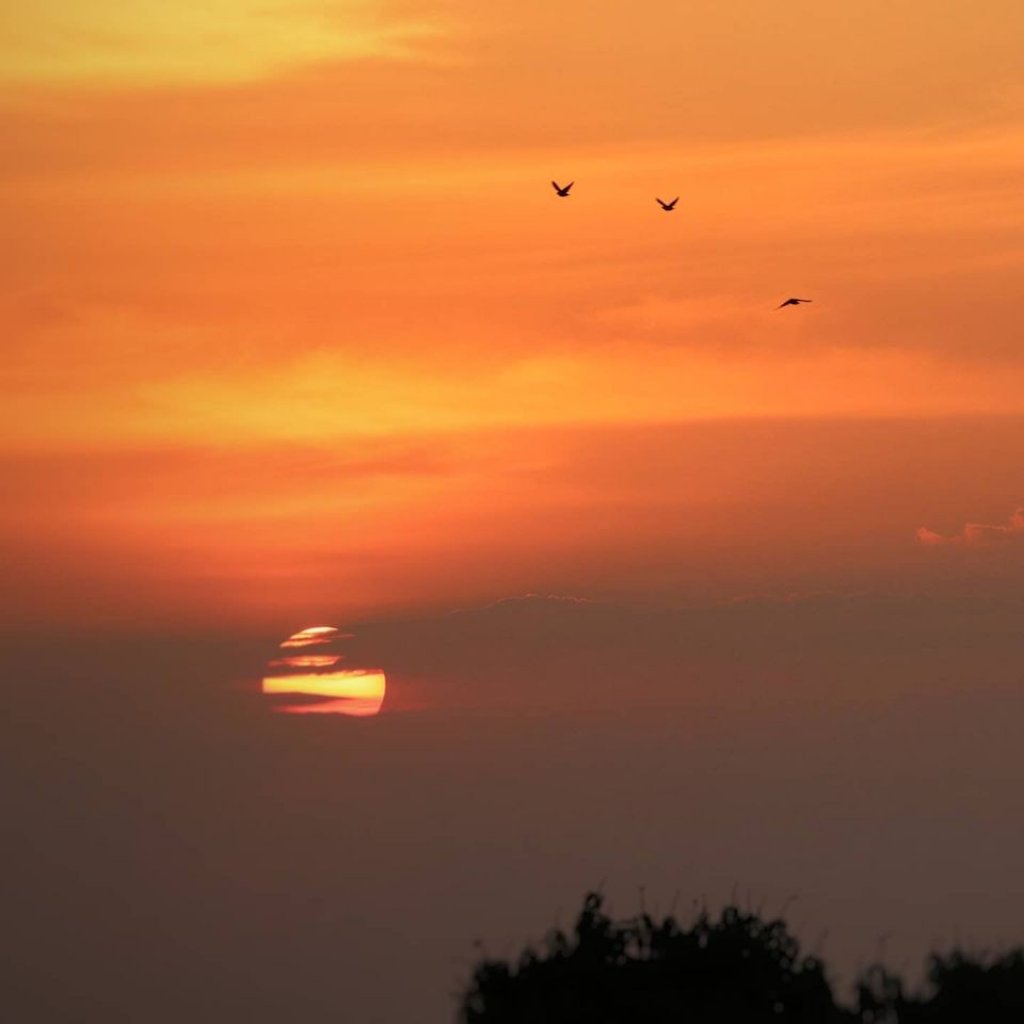 || Final de tarde na cidade de Marechal Cândido Rondon, captada pela lente do rondonense  Marcos Vinicius Fediuk - FOTO 18 -
