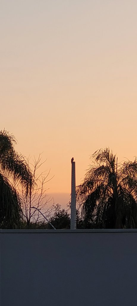 || Pôr do sol no município de Marechal Cândido  Rondon, em 29 de julho de 2023.
Imagem captada a partir do Clube Náutico no distrito rondonense de Porto Mendes  pela pioneira rondonense Ilda Bet - FOTO  21 -
