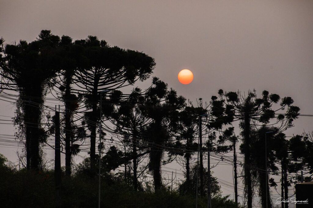 || Final de tarde na região da cidade de Cascavel (PR), em 02 de setembro de 2024.
Imagem: Acervo e crédito de Julio SzYmanski / Facebook - FOTO 32 -
