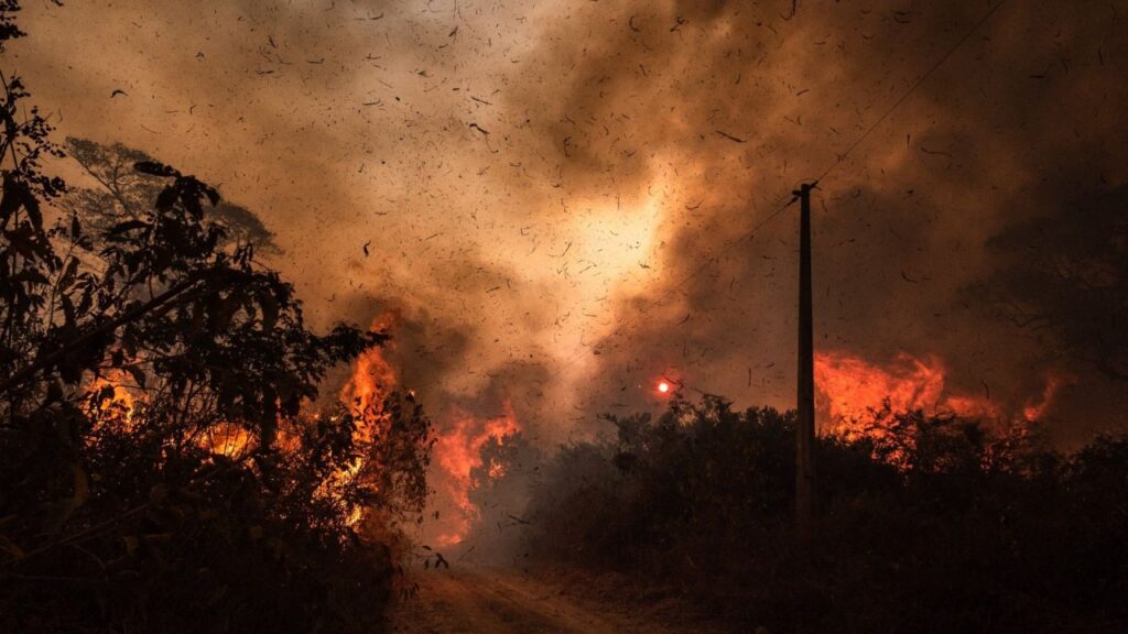 || Queimadas incontroláveis no Pantanal, em 2020.
Imagem: Acervo National Geographic -  Crédito: Gustavo Basso - FOTO 22 -