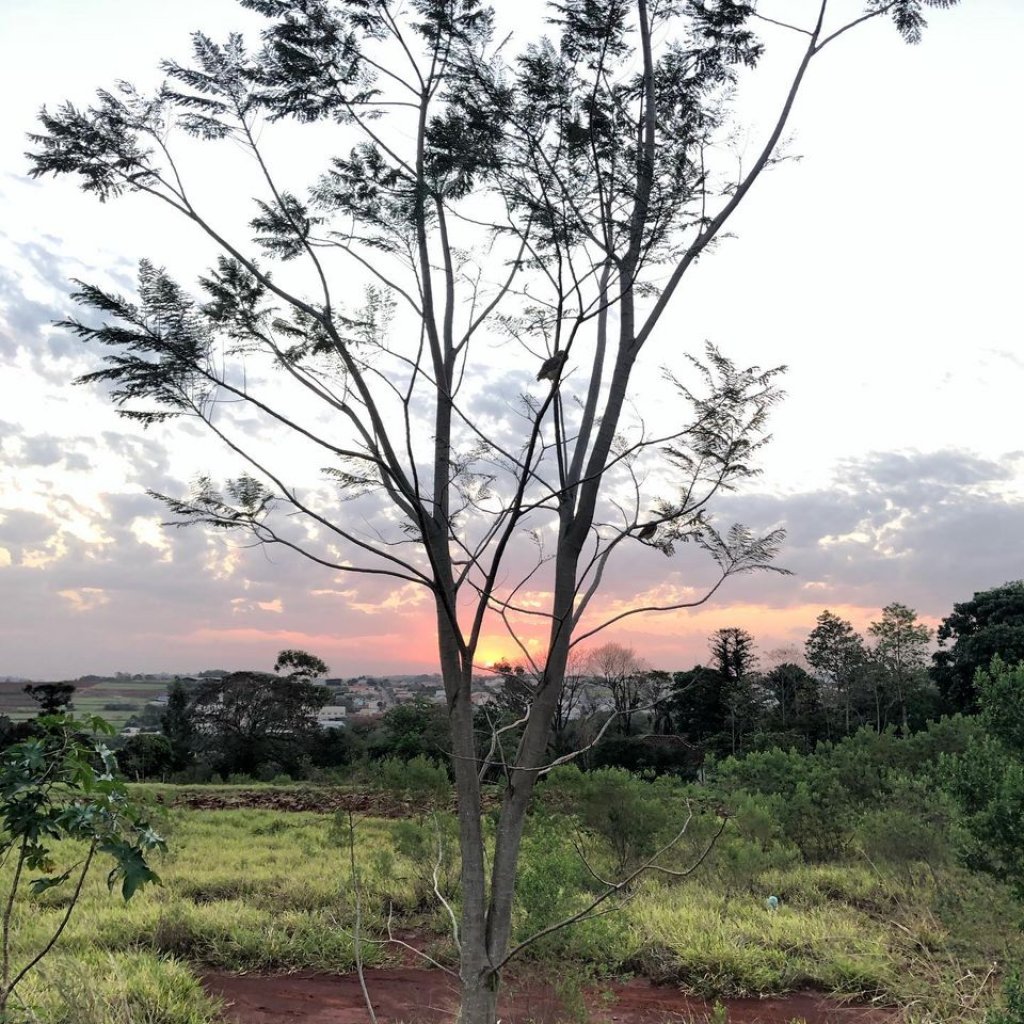 || Outro instantâneo do pôr do sol em Marechal Cândido Rondon, em 02 de setembro de 2020, captado pelo rondonense Rômulo Peres Peres, desde a região sul da cidade. - FOTO  22 -